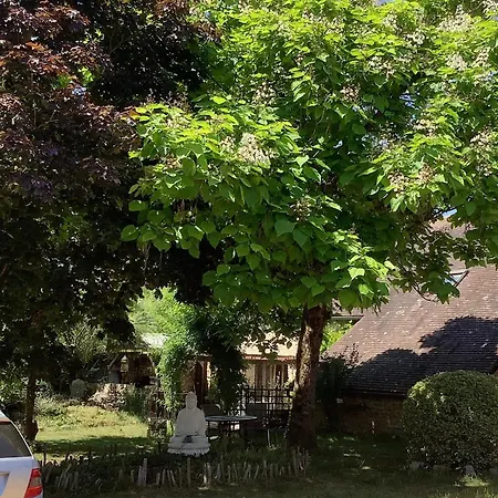 Sunflower * Genneteil