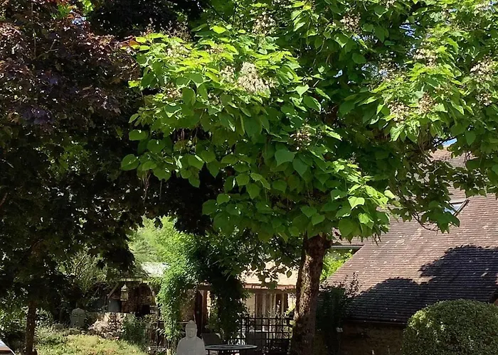 Sunflower * Genneteil